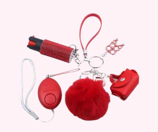 Classy  Purse Keychain